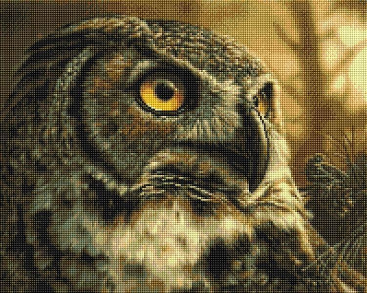 Алмазна мозаїка "Сова" на підрамнику, 40x50см SPP110 фото