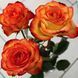 Алмазна мозаїка Букет троянд DD1206 фото 1