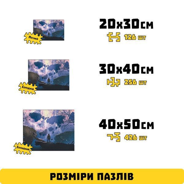 Дерев'яний Пазл-лабіринт Світ без гравітації (426 елементів) PZL31008L фото