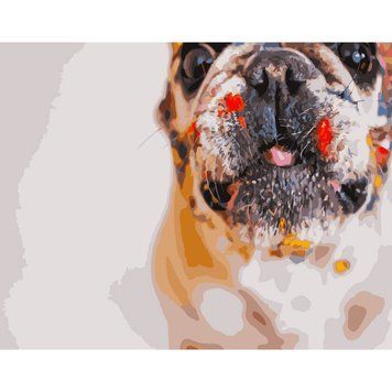 Картина за номерами Мокрий носик GS249 фото
