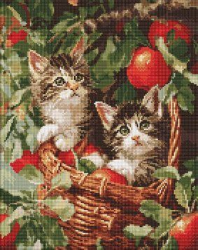 Алмазна мозаїка Коти у кошику AMO20277 фото